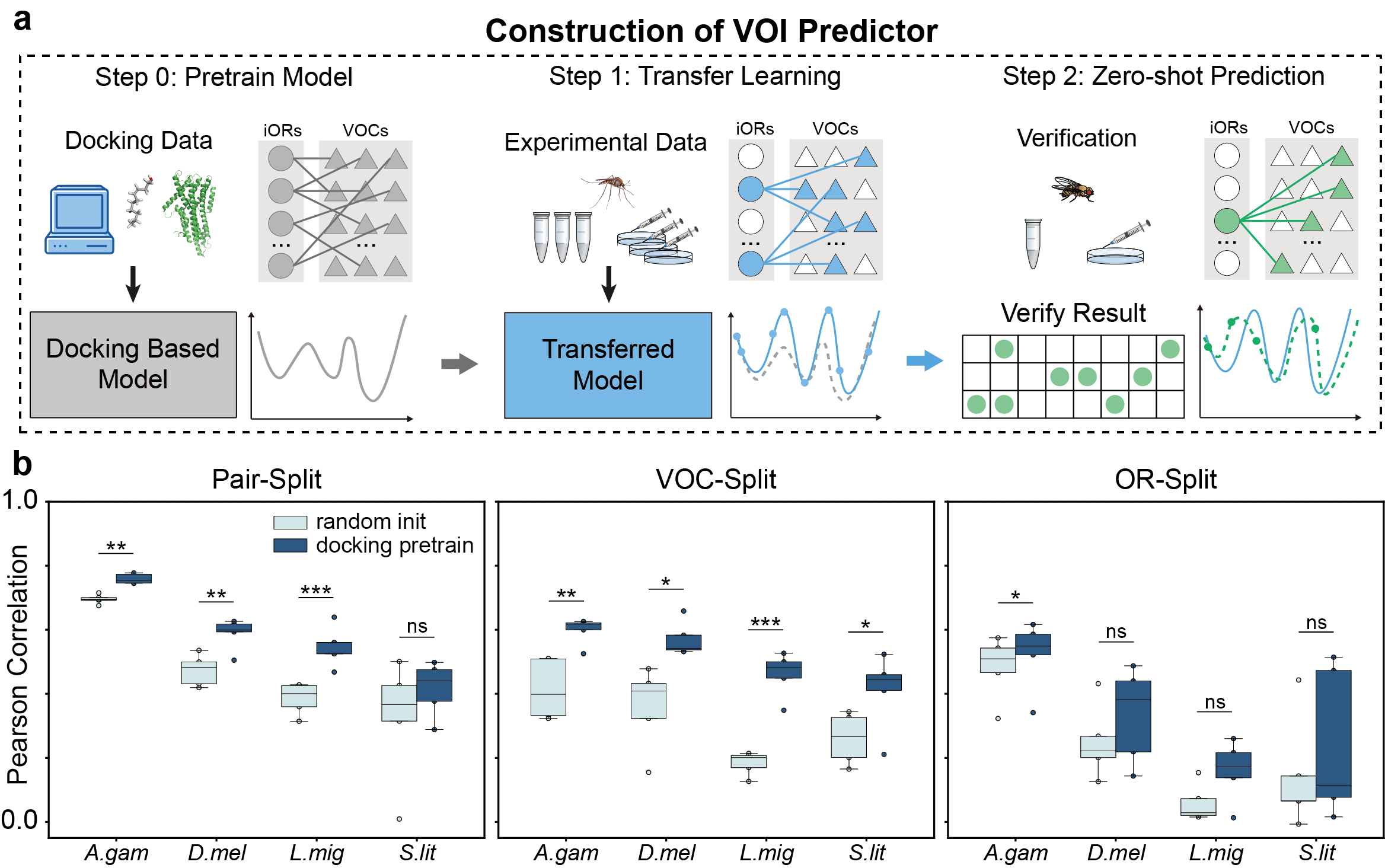 Transfer learning strategy and model performance comparison